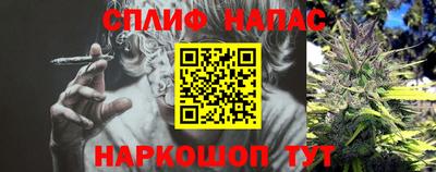 крисы Тверь