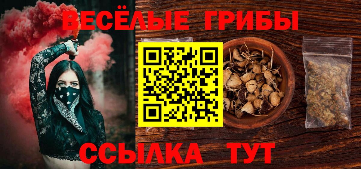 Галлюциногенные грибы прущие грибы  Вход с VPN  Майский 