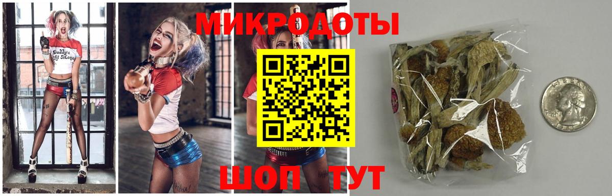 Псилоцибиновые грибы MAGIC MUSHROOMS Майский